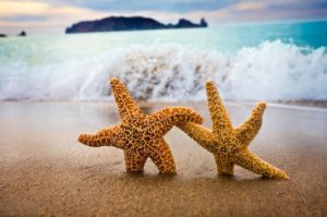 two starfish dancing on the beach with ocean  waves in the background