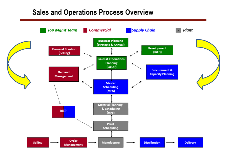 sap ariba procurement process
